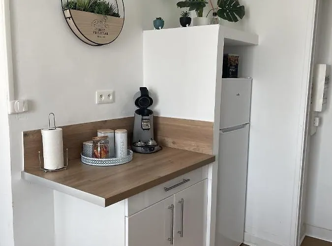 Au Repos De La Croix Rouge - Et équipés - Proche Gare *