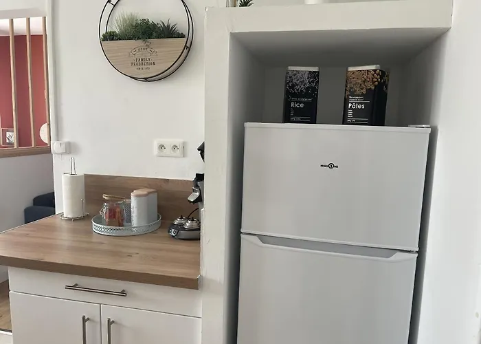 Au Repos De La Croix Rouge - Et équipés - Proche Gare * Châtellerault